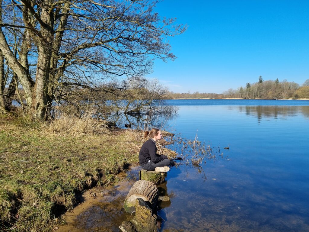 Bryrupbanestien, Den genfundne bro, vandring